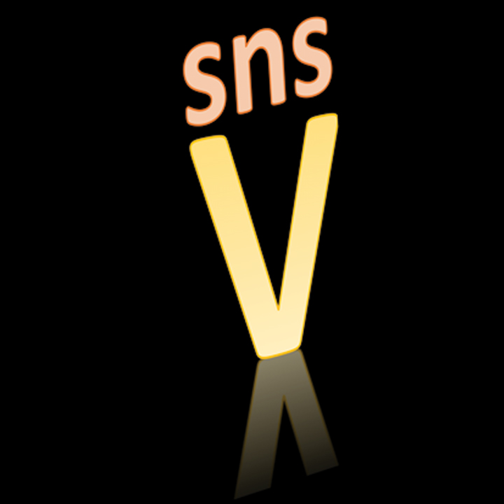 VSNS-Logo-FB